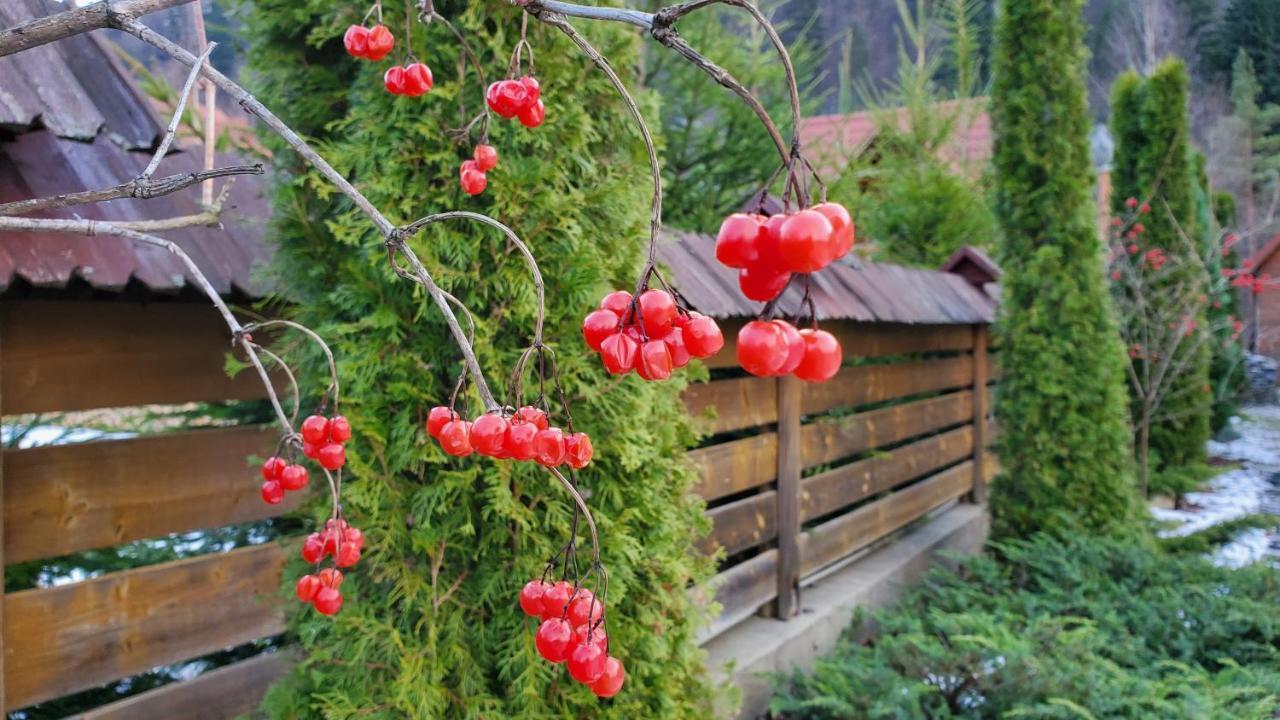 Котедж "Villa Затишна" Mykulychyn Εξωτερικό φωτογραφία